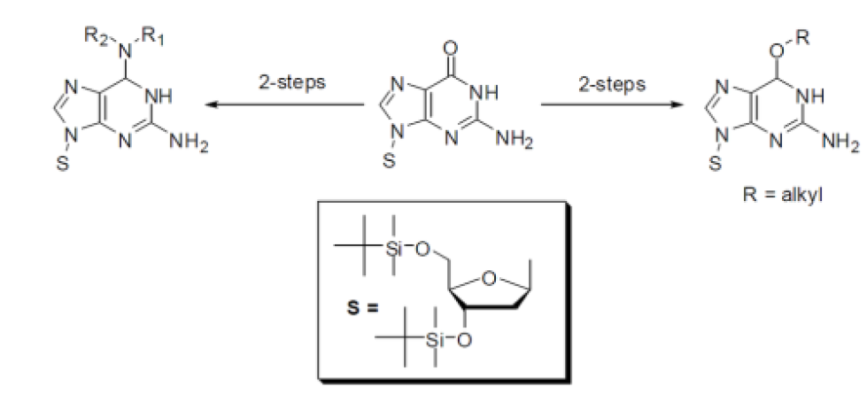 The conversion of 3,5-bis-O-TBDMS derivative of 2-deoxyguanosine to its O6-alkyl and O6-aryl ethers